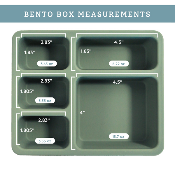 Austin Baby Co - Silicone Bento Box - Camper / Sage Green