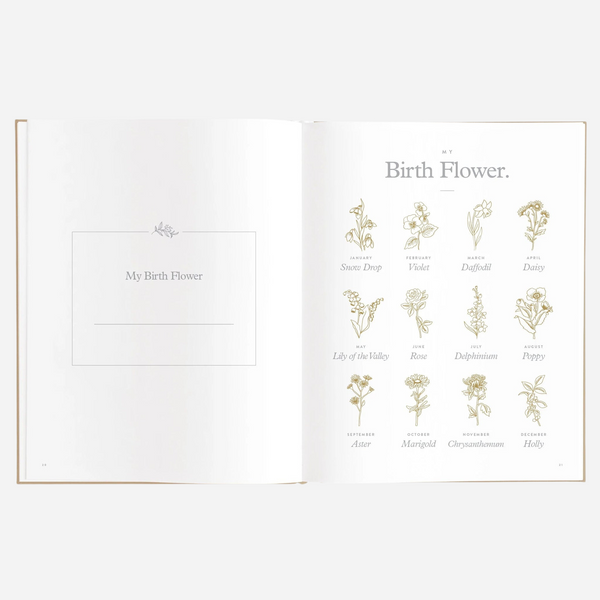 Fox & Fallow - Gold-Foil Linen Baby Book with Box- Biscuit