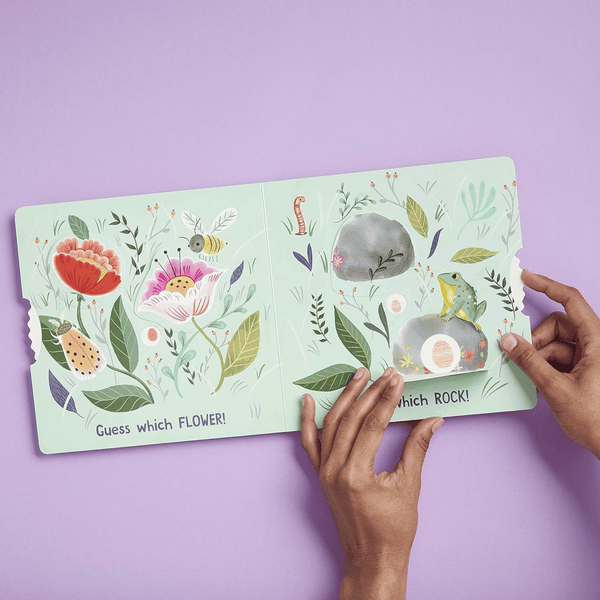 Eggs Are Everywhere Board Book