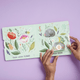 Eggs Are Everywhere Board Book