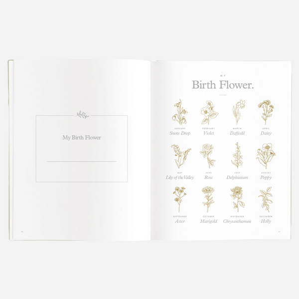 Fox & Fallow - Gold-Foil Linen Baby Book with Box - Pistachio