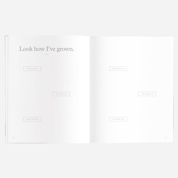 Fox & Fallow - Gold-Foil Linen Baby Book with Box - Pistachio