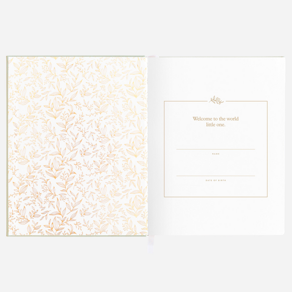 Fox & Fallow - Gold-Foil Linen Baby Book with Box - Pistachio