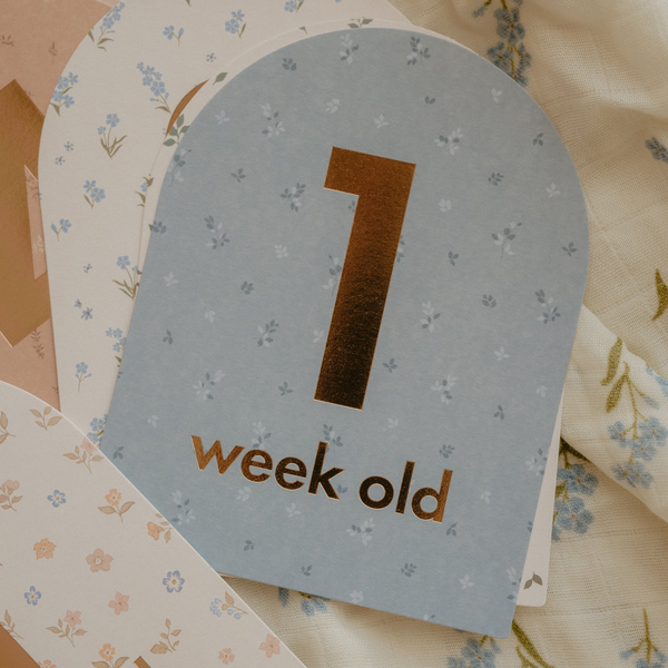 Fox & Fallow - Gold-Foil Baby Milestone Cards - Broderie