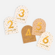 Fox & Fallow - Gold-Foil Baby Milestone Cards - Broderie
