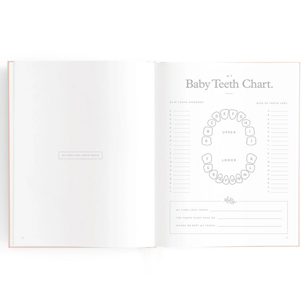 Fox & Fallow - Gold-Foil Linen Baby Book with Box - Broderie
