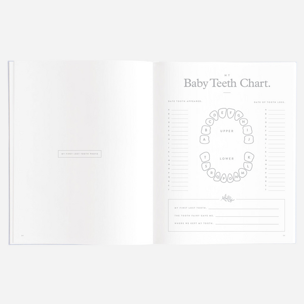Fox & Fallow - Gold-Foil Linen Baby Book with Box - Powder