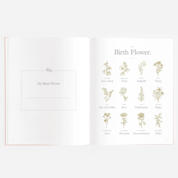 Fox & Fallow - Gold-Foil Linen Baby Book - Rose Boxed