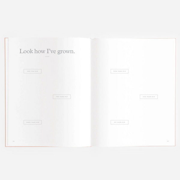 Fox & Fallow - Gold-Foil Linen Baby Book - Rose Boxed