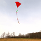 Kikkerland - Huckleberry Red Kite