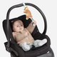Manhattan Toy - Bumble Bear Baby Travel Toy