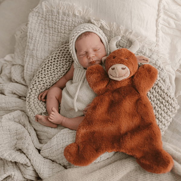 Nana Huchy - Henry the Highland Cow Hoochy Coochie