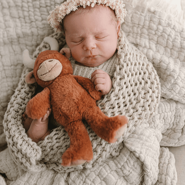 Nana Huchy - Henry the Highland Cow Rattle