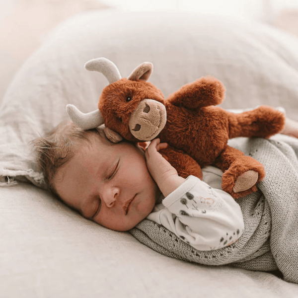 Nana Huchy - Henry the Highland Cow Rattle