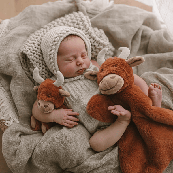 Nana Huchy - Henry the Highland Cow Rattle