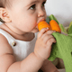Oli & Carol US - Cathy the Carrot Mini Doudou Teether