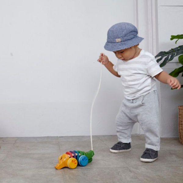 Plan Toys - Rainbow Alligator Pull Toy