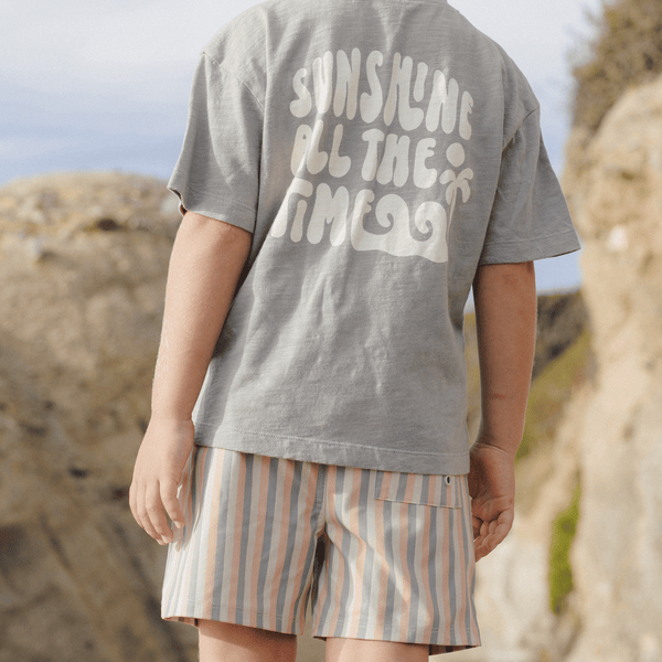 Rylee + Cru - Boardshort - Multi Stripe