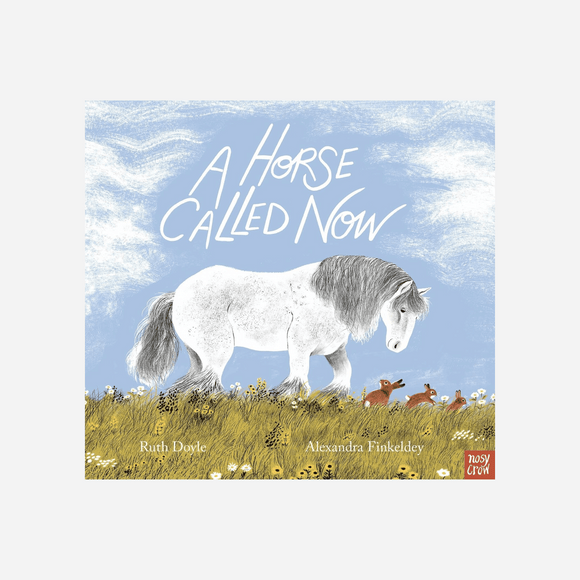 A Horse Called Now Book By Ruth Doyle
