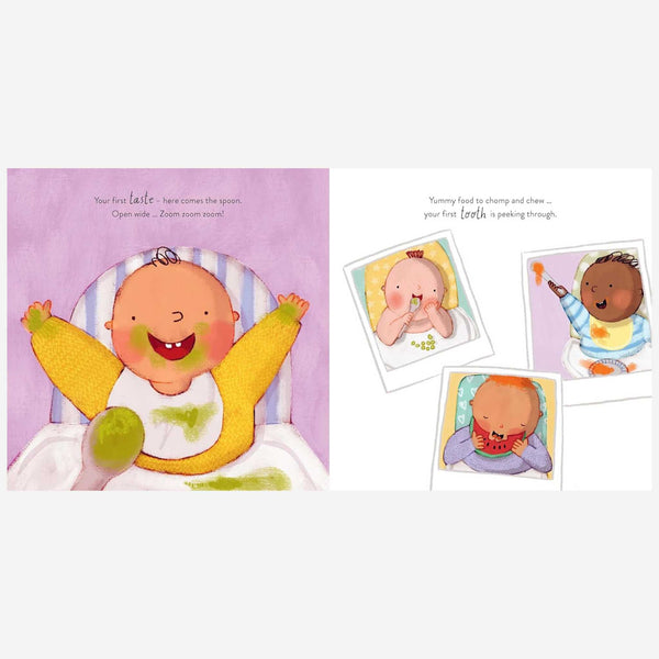 All the Firsts Book By D'Alia & Wheatcroft