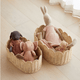 Bebe Bask - Belle Scalloped Basket - Small 