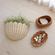 Bebe Bask - Lola Scalloped Wall Basket