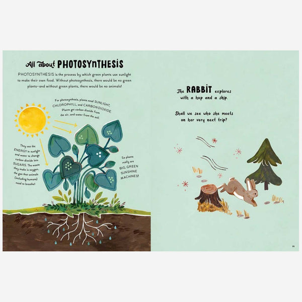 Books - 5-Minute Nature Stories