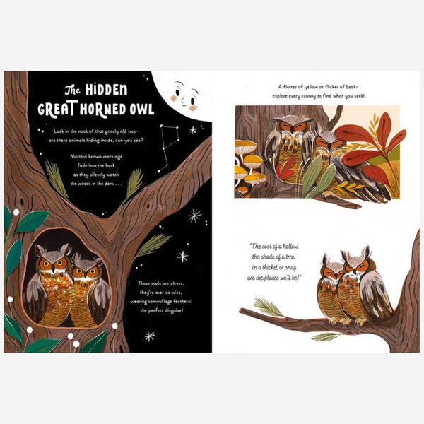 Books - 5-Minute Nature Stories