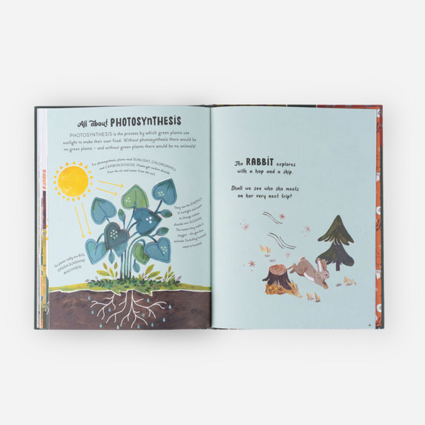 Books - 5 Minute Nature Stories: True Tales from the Woodland by Gabby Dawnay
