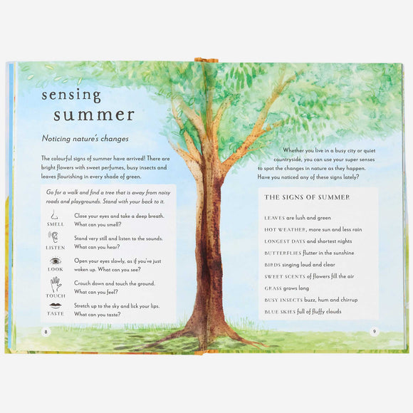 Books - A Field Guide to Summer: Play and Learn in Nature