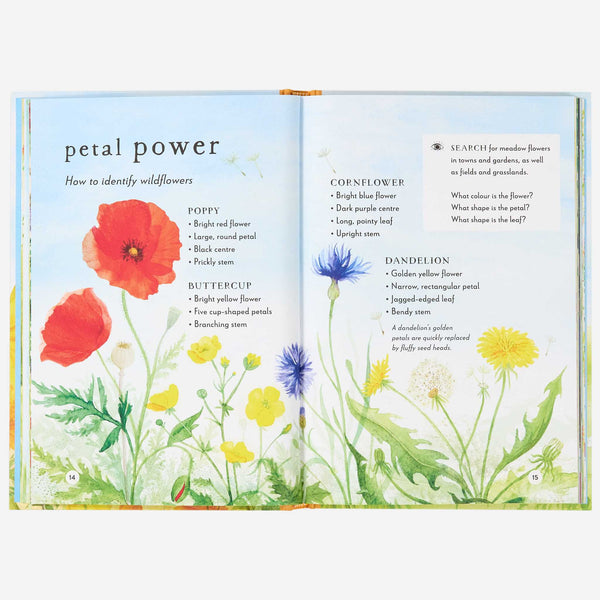 Books - A Field Guide to Summer: Play and Learn in Nature