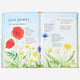 Books - A Field Guide to Summer: Play and Learn in Nature