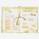 Books - A Field Guide to Summer: Play and Learn in Nature