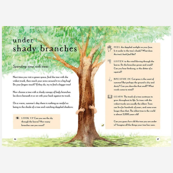Books - A Field Guide to Summer: Play and Learn in Nature