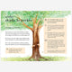 Books - A Field Guide to Summer: Play and Learn in Nature