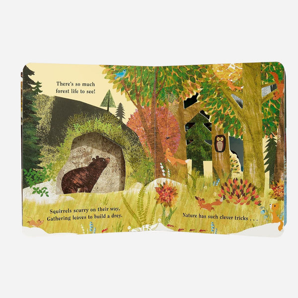 Books - A Peek-Through Board Book