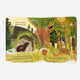 Books - A Peek-Through Board Book
