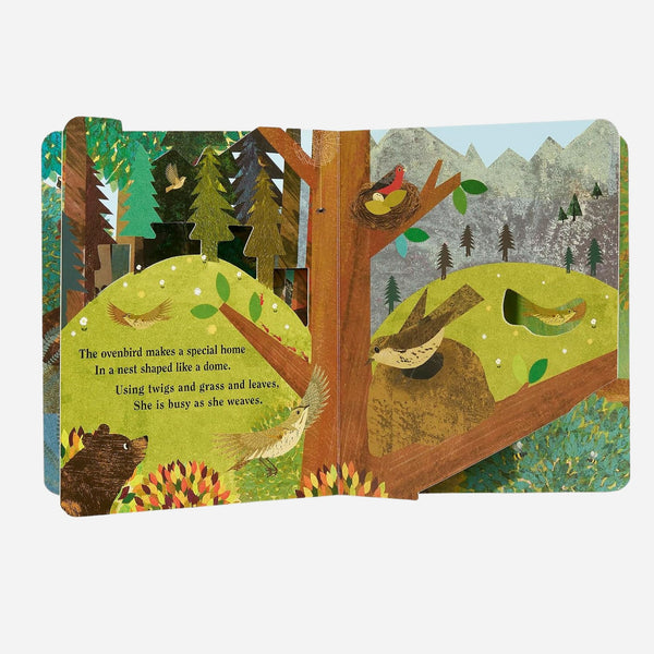 Books - A Peek-Through Board Book