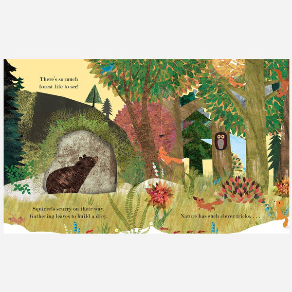 Books - A Peek-Through Board Book