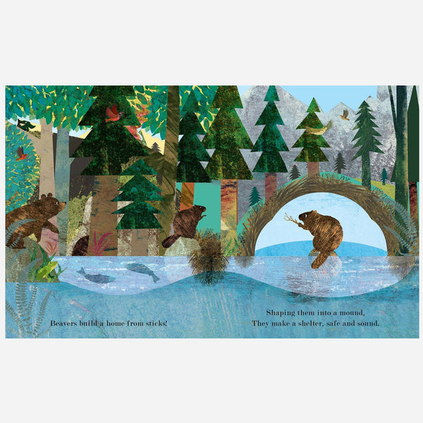 Books - A Peek-Through Board Book