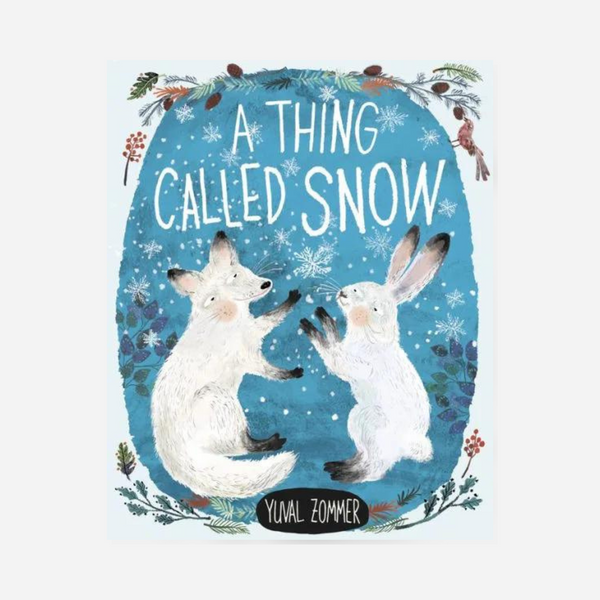 Books - A Thing Called Snow by Yuval Zommer