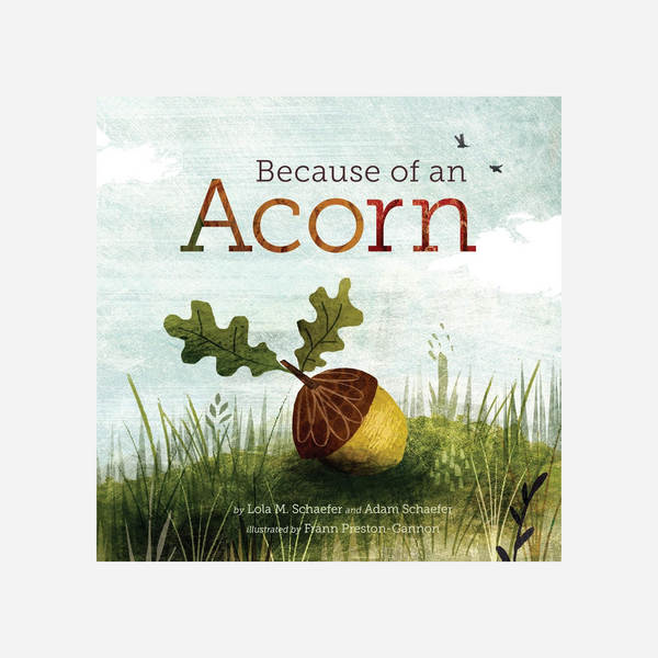 Books - Because of an Acorn by Lola M. Schaefer and Adam Schaefer