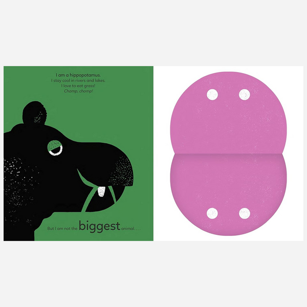 Books - Big, Bigger, Biggest by Xavier Deneux