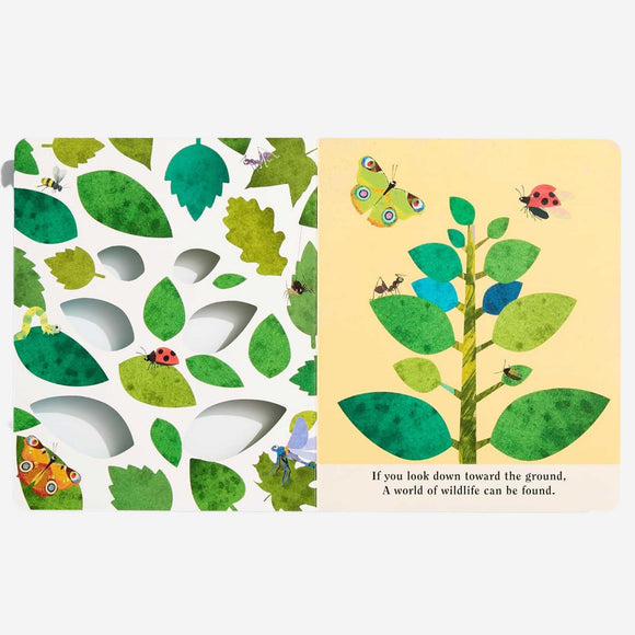 Books - Bugs: A Peek-Through Board Book by Britta Teckentrup
