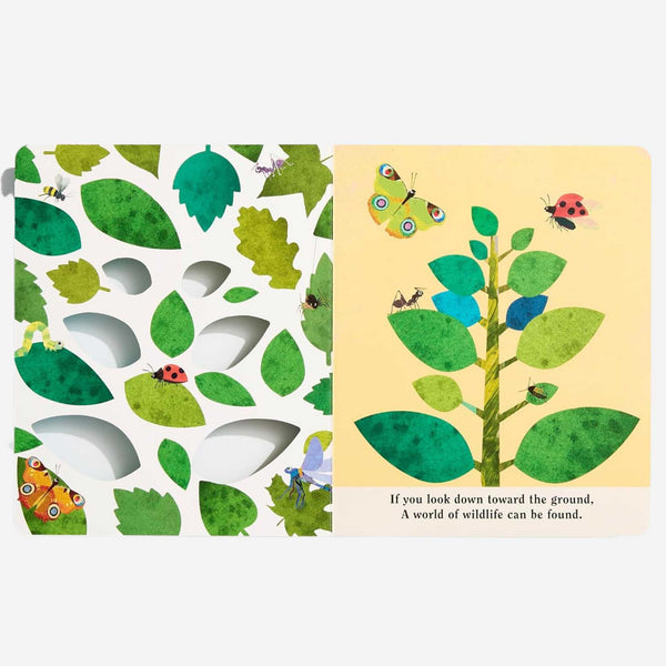 Books - Bugs: A Peek-Through Board Book by Britta Teckentrup