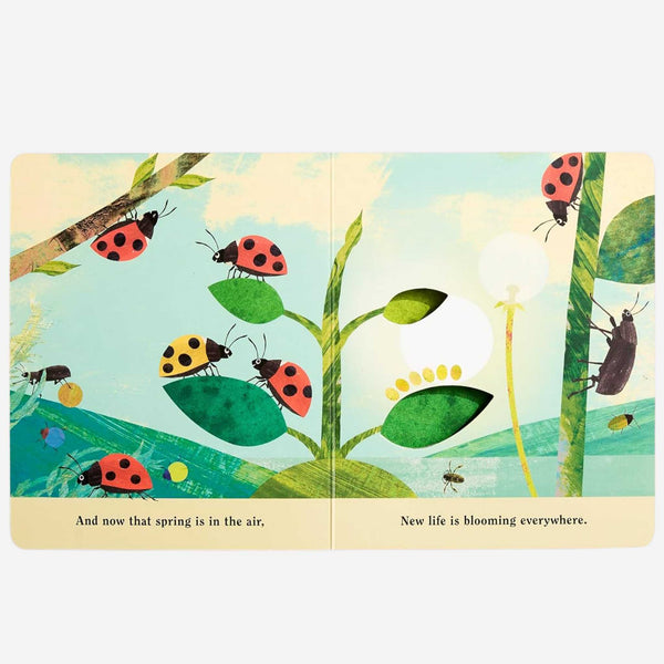 Books - Bugs: A Peek-Through Board Book by Britta Teckentrup