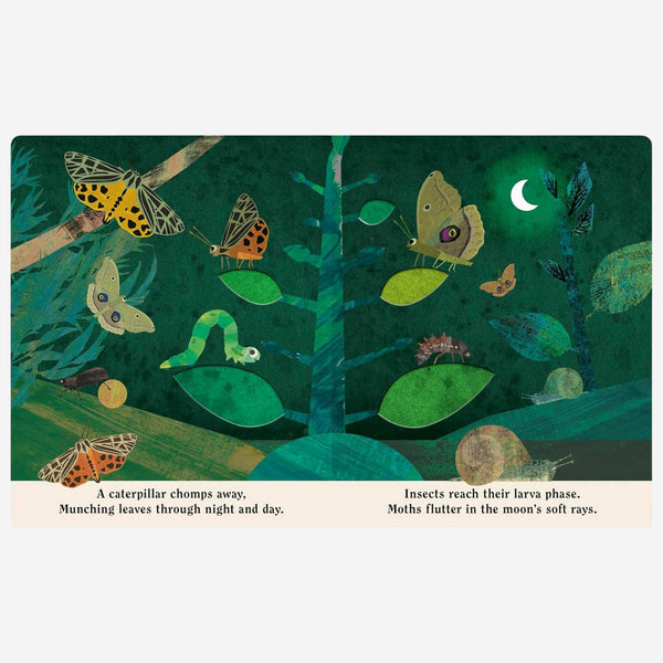 Books - Bugs: A Peek-Through Board Book by Britta Teckentrup