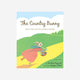 Books - Country Bunny and the Little Gold Shoes by Du Bose Heyward