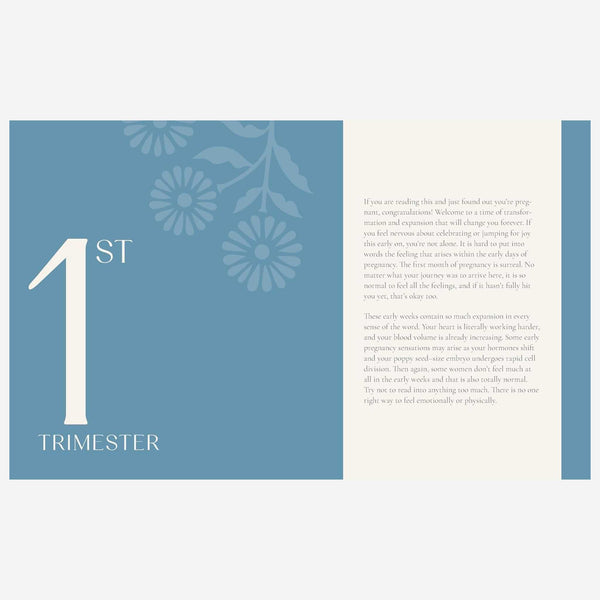 Books - Growing Together Pregnancy Journal