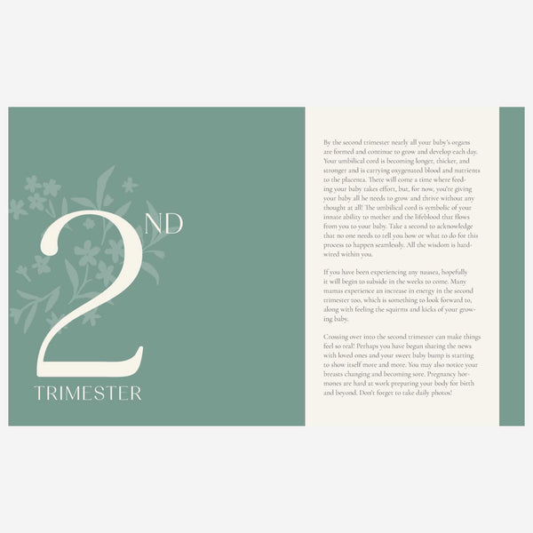 Books - Growing Together Pregnancy Journal
